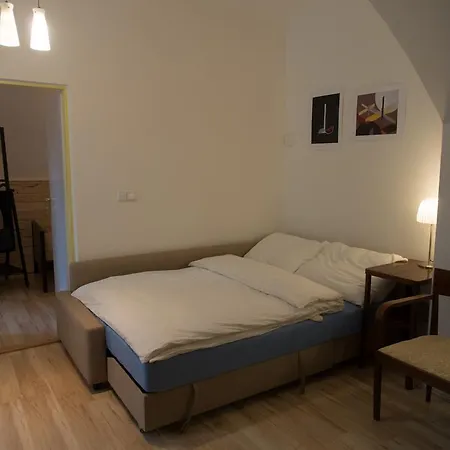 Apartment Udolni Brno